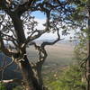 View back towards the campground from near the base of Sugarloaf.