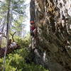 Helen cruising the start of Low Tooth Count. 10a.