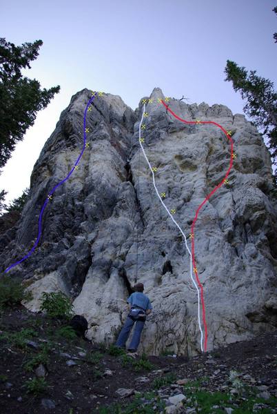 East Side cosmic web wall