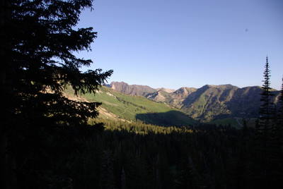 Looking down canyon from the cosmic web wall. 