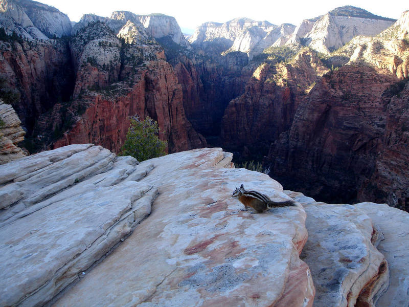 Angel's Landing, Zion.<br>
<br>
A perfect evening hike.<br>
<br>
(Taken 8/7/07)