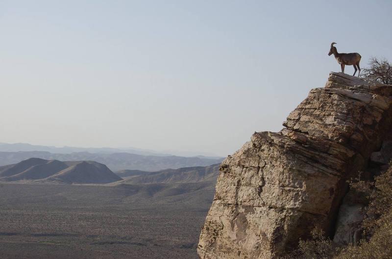 Black Velvet Canyon