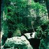 David Panofsky spelunking to get to the start of Goatskin (6/95). 