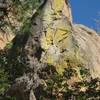 La Diosa climbs up the green face, enjoy.  