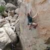 Phil enjoying the moves on Dead Man Chalking (5.10b), Holcomb Valley Pinnacles 