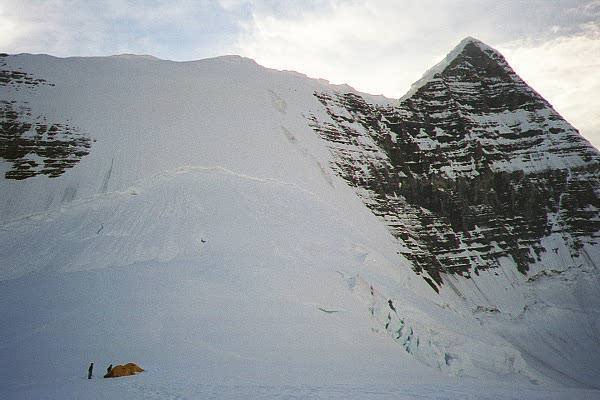 The Kain Face from camp at the saddle between "The Dome" and Robson.  