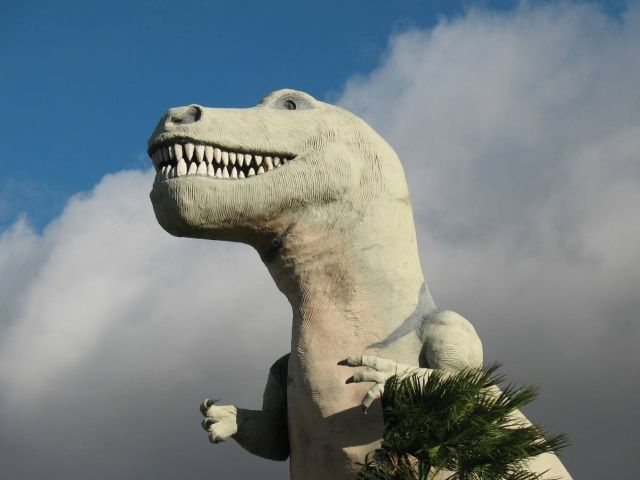 Mr. Rex profile, Cabazon 