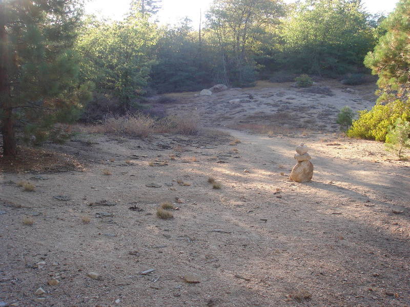 This is the end of the logging road.  To the left of the cairn is the original climber's trail, through the sagebrush to the streambed, eventually leading to the Crag at the End of the Universe.  Going past the cairn into the clearing, you'll find the new equestrian trail that leads more efficiently to the crag.