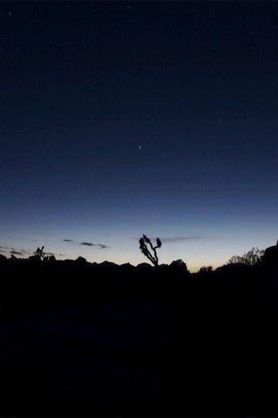 joshua tree sunset