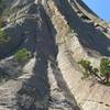 View of New Wave from the base. The route goes up the crack system above the small tree on the left side of the photo.