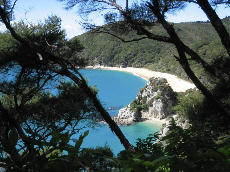 The Abel Tasman Coast Track is loaded with pristine beaches along its entire length (51 kilometers).  We only hiked about 10 kilometers of the track as a day trip, but we were not disappointed with the scenery...