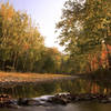 Seneca Creek in evening fall colors.