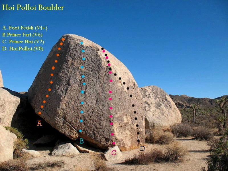 The Hoi Polloi Boulder, Joshua Tree NP