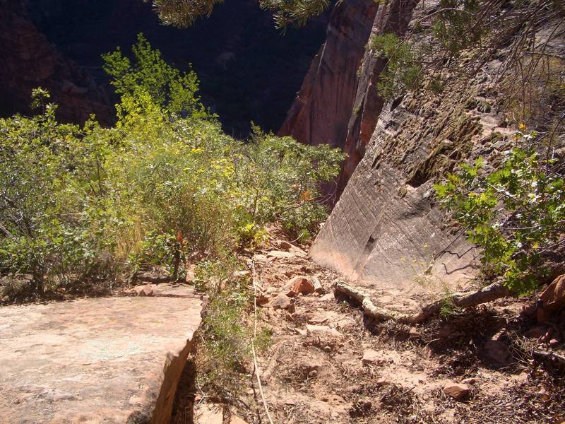 Looking down the sandy, loose gulley from the top tree. I fixed this to carry my loads up.