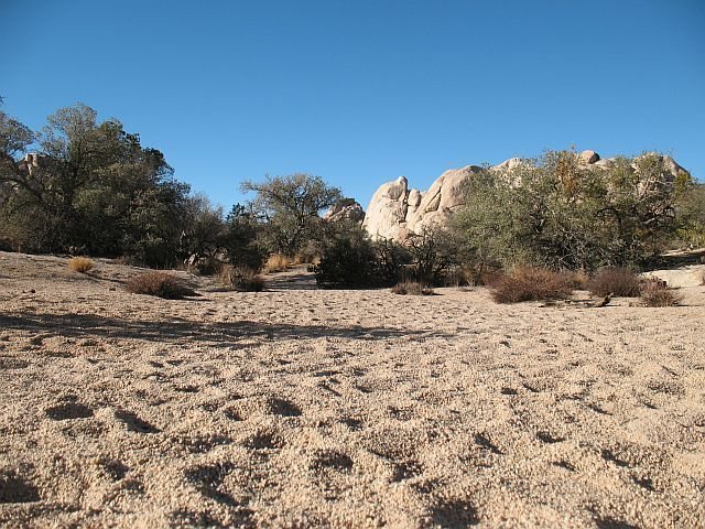 Wonderland Trail with the Freak Brothers Dome in the distance, Joshua Tree NP