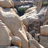 A lone bighorn near Rattlesnake Canyon.<br>
Photo by Blitzo.