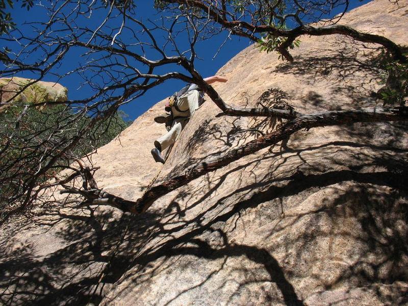 Bill starting the first pitch. Squeezing under the branch makes the first few feet harder.