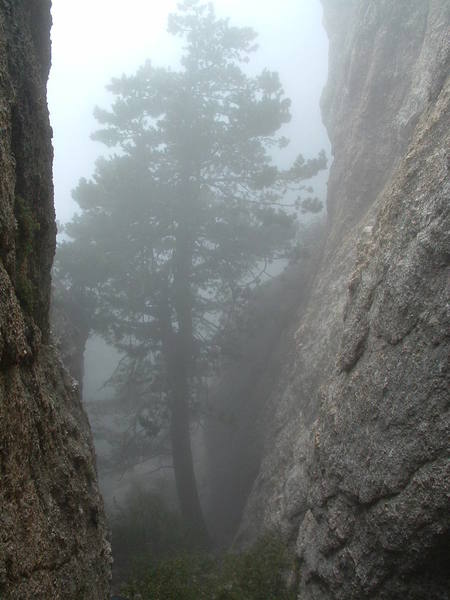 In a cloud at Murray Wall