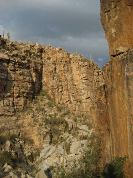 view up canyon from the main wall