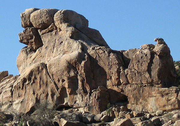 Poodle. Wailing Wall-East-side.<br>
Photo by Blitzo.