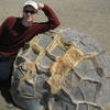 Now that the Moereki boulders are exposed to the waves and wind, they are begining to erode again.  Here you can can clearly see the honeycomb structure of the mineral deposits that created these wierd boulders.