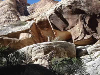 A local checking out what all the noise is about