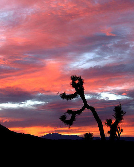 San Gorgonio sunset from Key's Corner.<br>
Photo by Blitzo.