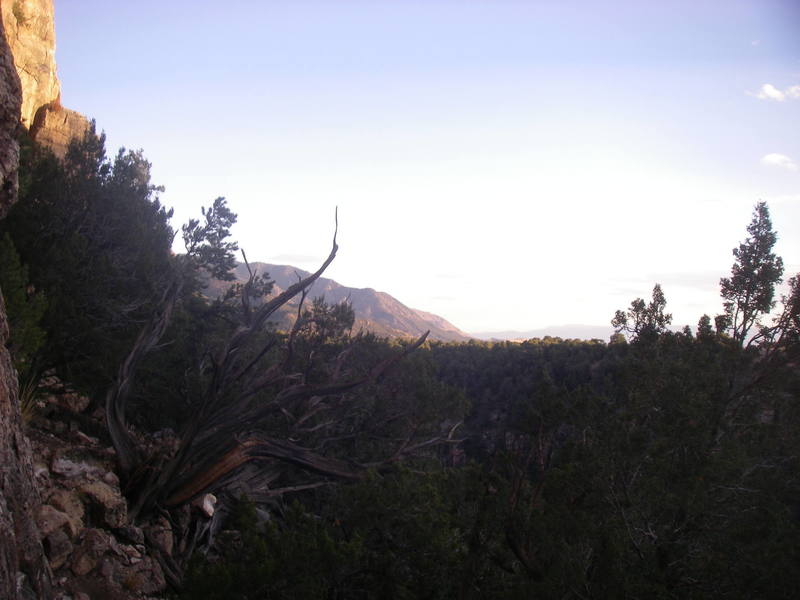 Racing the last sun to the top of the wall.