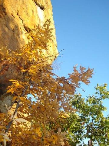 Fall colors at the T-Wall