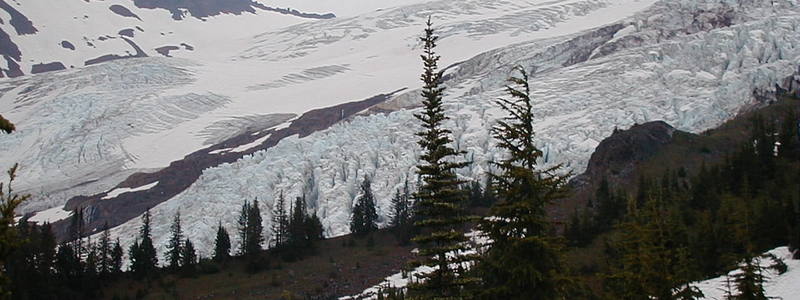 Coleman Glacier from trail to Bivvy.<br>
<br>
Photo by Kirk Miller.