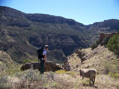 Near the upper buttress of the Exit 49 Area.