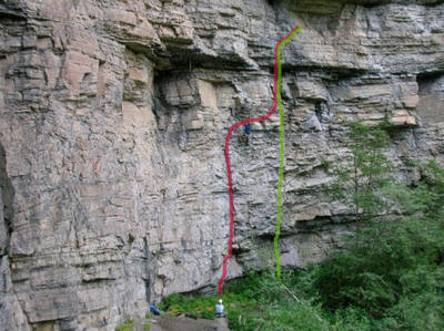 Red -Amphibian<br>
Green -Godzilla.