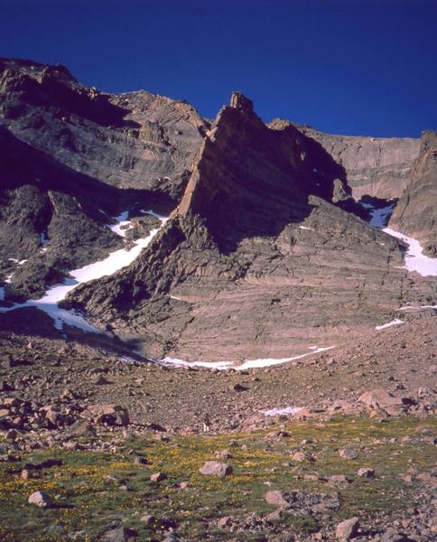 Mt Meeker's most popular feature, The Flying Buttress. One of the best alpine rock ascents in the park at any grade. Photo by Tony Bubb, 2000.