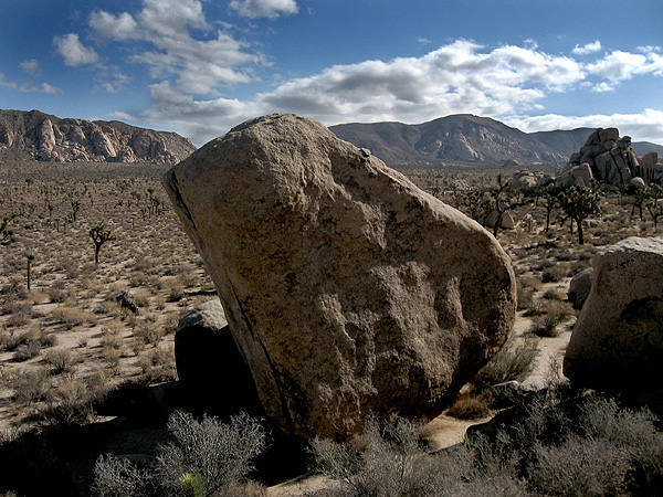 White Rastafarian Boulder.<br>
Photo by Blitzo.