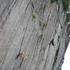 The Spider's Web in the Adirondacks.  