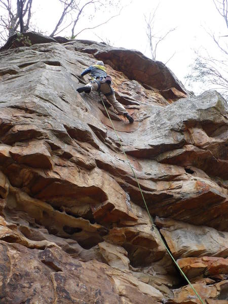 TJ's Demise, 5.9, Leda, TN.