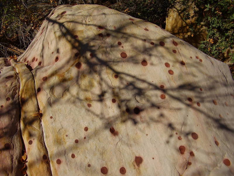 Cool rock in pine creek canyon