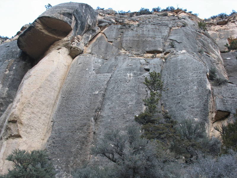 Overview of Big Bird Wall from the trail. Edwards Crack is the splitter yellow dihedral; many other routes will be located in relation to Edwards.