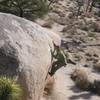 Kevin near the top of Turnbuckle (V1), Joshua Tree NP