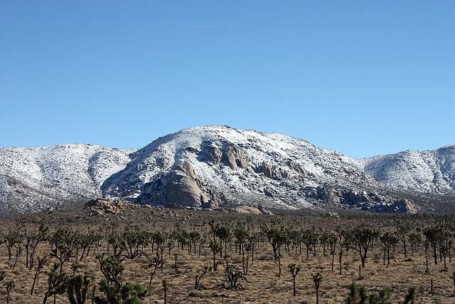 Saddle Rocks and vicinty after a snowstorm, Joshua Tree NP