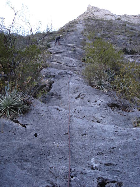 P1 of Yankee Clipper splitting the desert vegetation.  