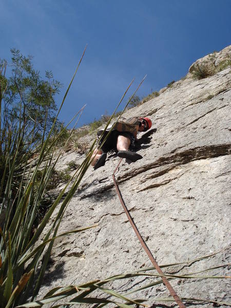 Chuck successfully climbed past the left side of this spiny plant to the first bolt (shown), but did not fare as well on the 5.10b crux.