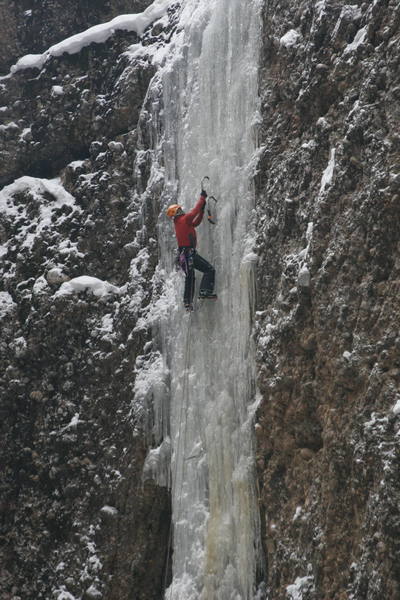 The Swiss Miss, live without a leash on the thin ice of Maple Moon, Feb '06.