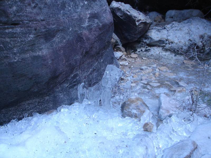 A natural ice sculpture doggy in Ice Box Canyon, Red Rock.<br>
<br>
Taken Christmas Day 12/25/07