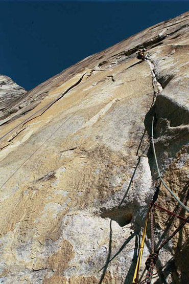 All Time Copperhead Crack on Aurora