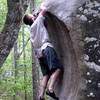 Greg in "the scoop"
