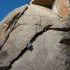 Nate A following Tarantula. 11-25-06.<br>
The straight-up crack on the left is Strawberry Short Cake. The roof in the upper right is Orange Julius. The right-hand exit in the roof is Summer Festival.