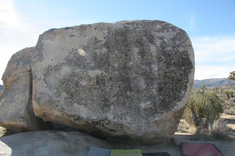 Black Lichen Boulder