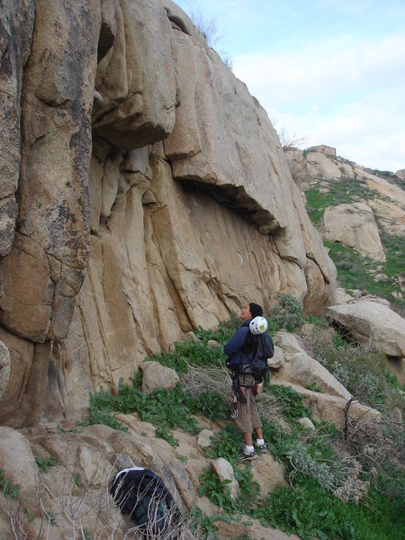 The roof section of Main Wall Right.