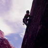 free climbing in Zion, climber Olaf Mitchell, Photo Bruce Sposi